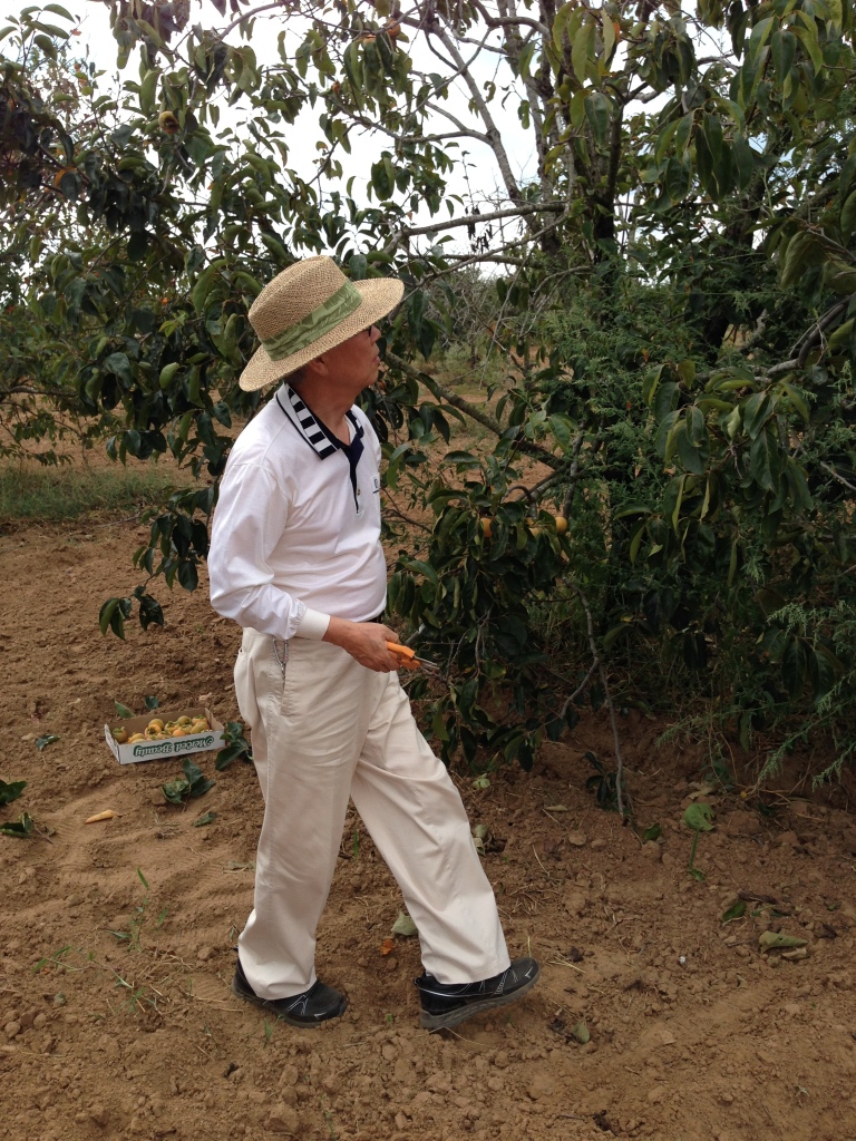 2014 에노스야유회 photo 7