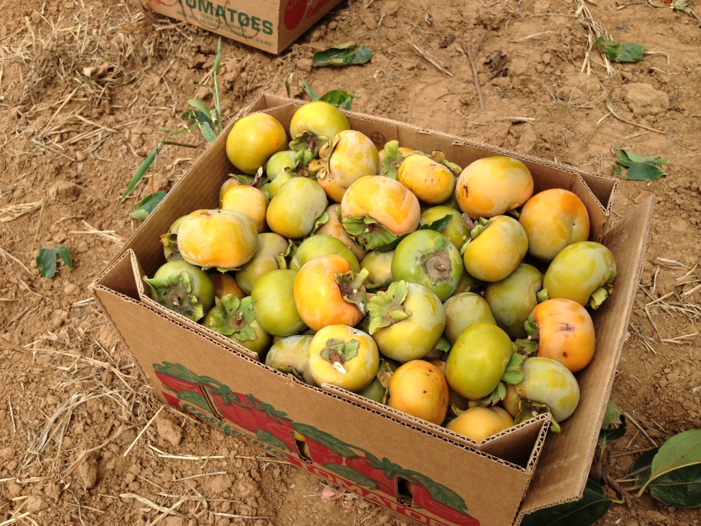 2014 에노스야유회 photo 9