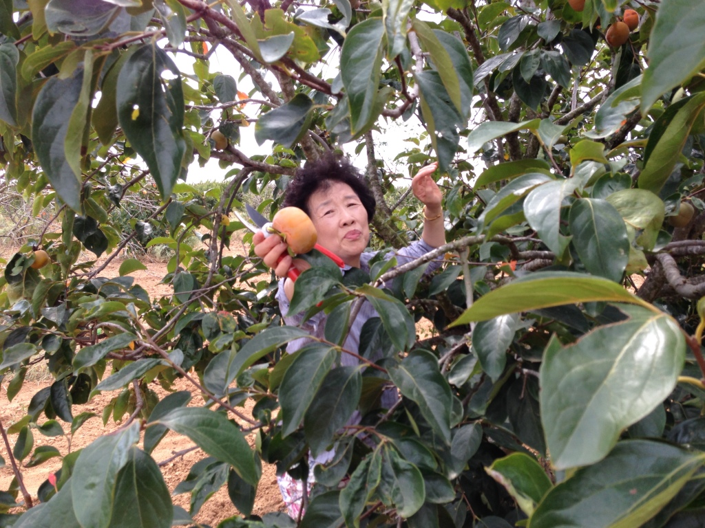 2014 에노스야유회 photo 10