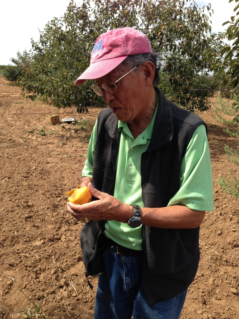 2014 에노스야유회 photo 13