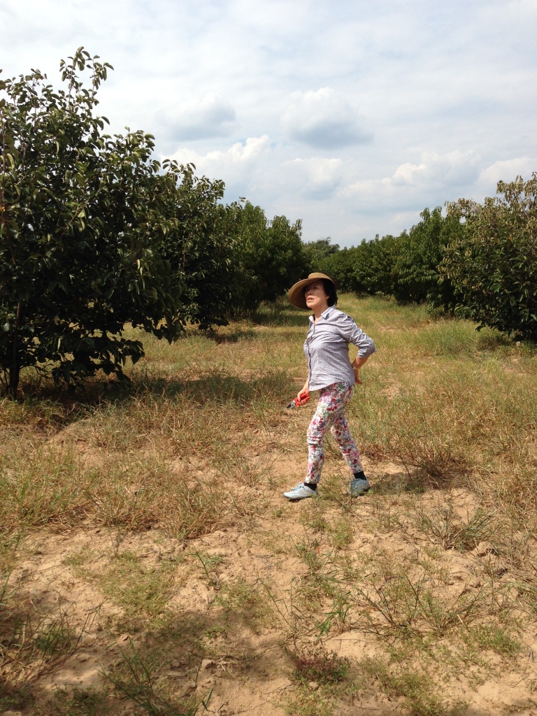 2014 에노스야유회 photo 14